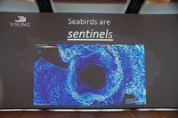 
DSC00270